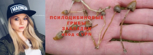 дурь Инта