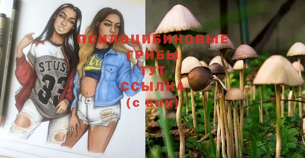 дурь Инта