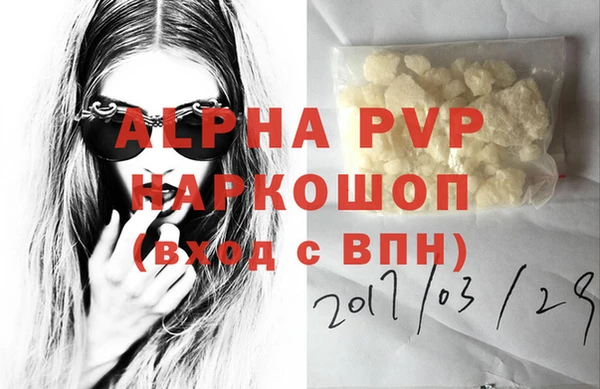 дурь Инта