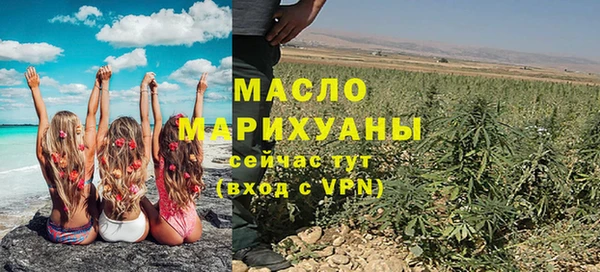 дурь Инта