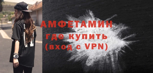 дурь Инта