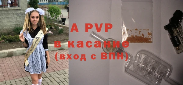 дурь Инта