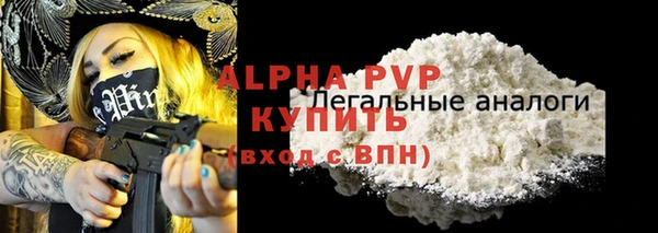 дурь Инта